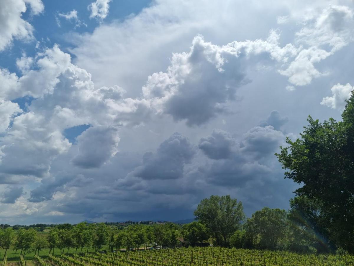 Appartamento Fornace Del Conte Abbadia di Montepulciano Esterno foto