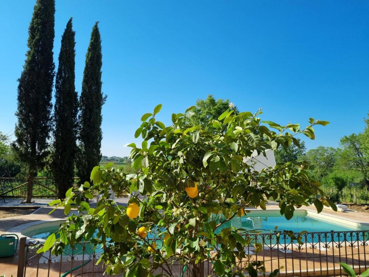 Appartamento Fornace Del Conte Abbadia di Montepulciano Esterno foto