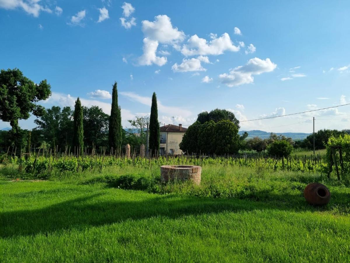 Appartamento Fornace Del Conte Abbadia di Montepulciano Esterno foto