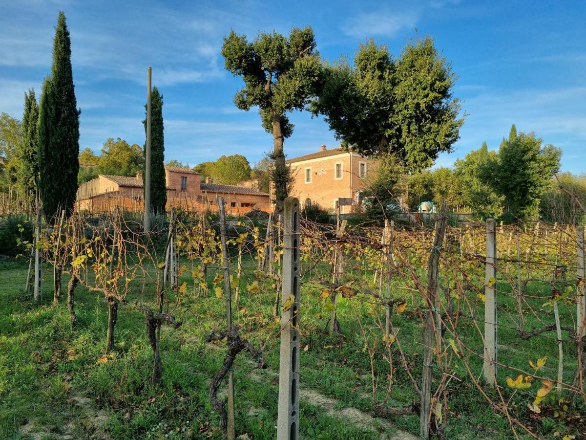 Appartamento Fornace Del Conte Abbadia di Montepulciano Esterno foto
