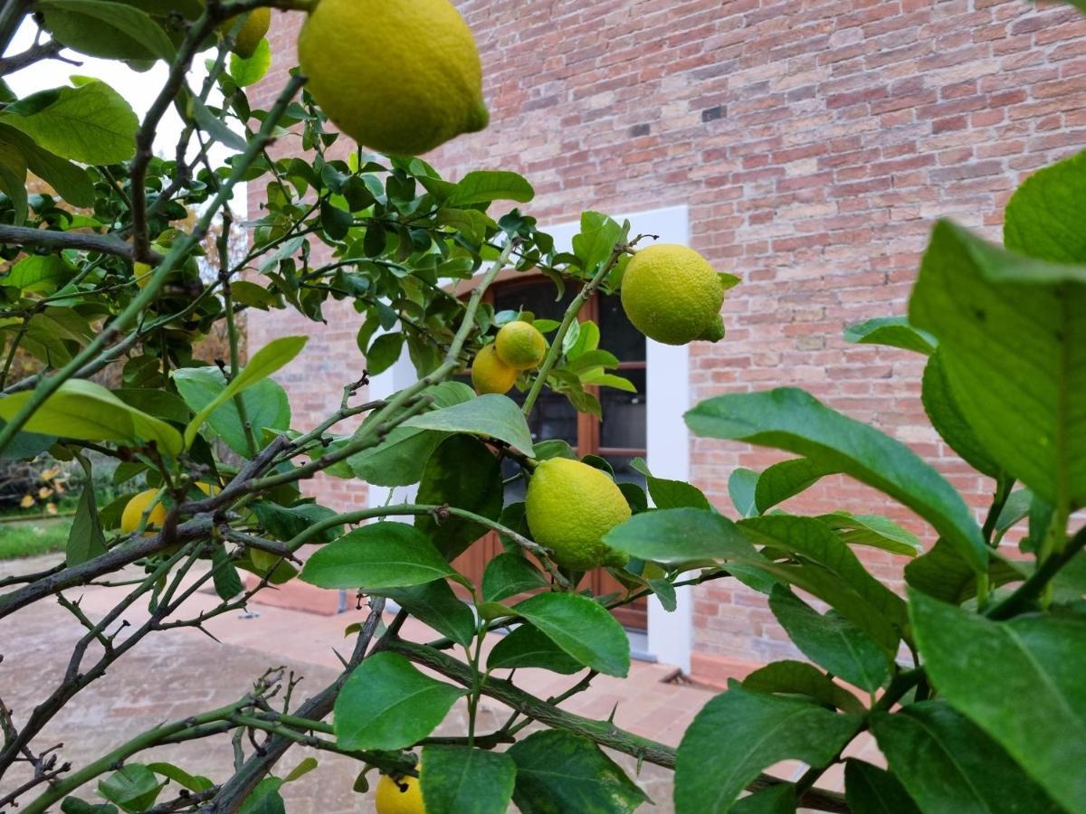 Appartamento Fornace Del Conte Abbadia di Montepulciano Esterno foto