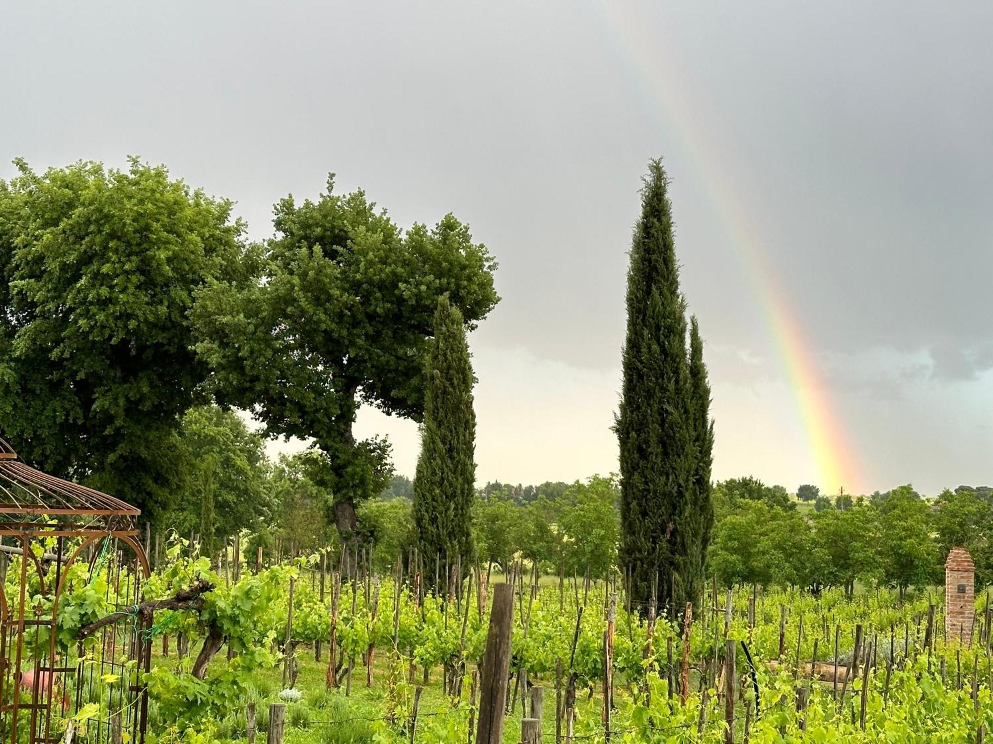 Appartamento Fornace Del Conte Abbadia di Montepulciano Esterno foto