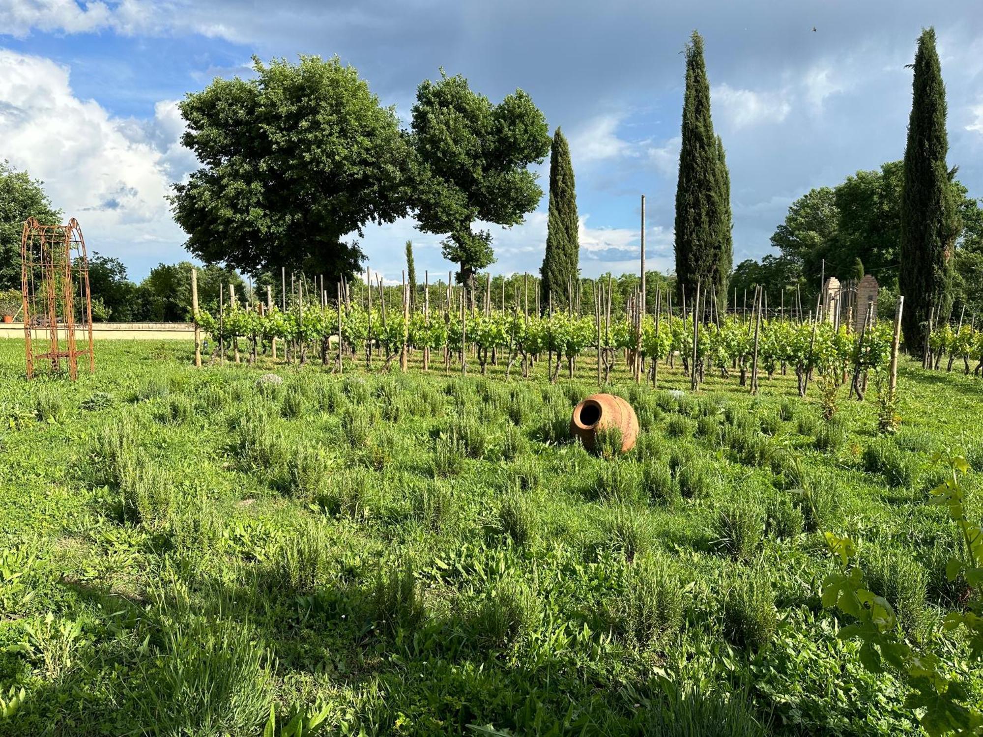 Appartamento Fornace Del Conte Abbadia di Montepulciano Esterno foto
